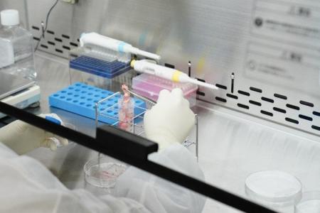 11/17「世界さい帯血の日」国内シェア99％の民間バン