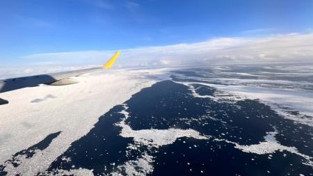 FDA　チャーター便の運航情報について（2025年11月11