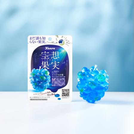 SNSで毎回話題に！空想上の果実を表現した新感覚グミ