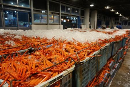 境港の海産物を全国へ。境港卸売業「魚魚魚（うぉうう