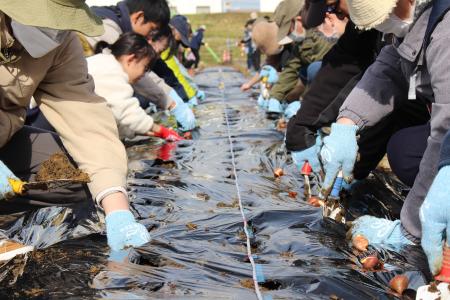 11月8日（土）にチームエコワークをミズベリング三条