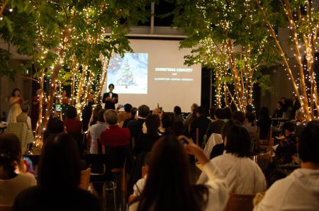 オフィスのベンジャミンの木をイルミネーションで彩る