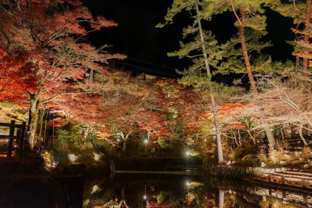 【期間限定】紅葉の穴場スポット・岩屋堂公園で「牡蠣