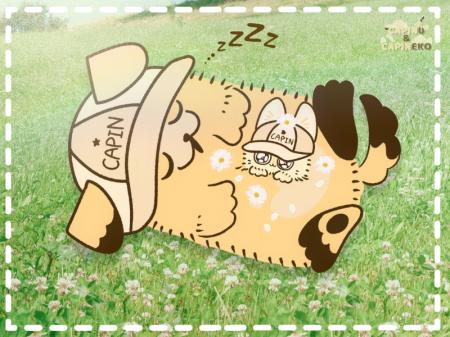 漫画で知る 動物を大切にする活動のこと「きゃぴもふ 漫画で知る 動物を大切にする活動のこと「きゃぴもふ