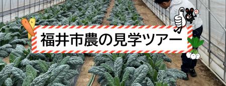 交通費・宿泊費の助成あり！【福井県福井市】で就農の