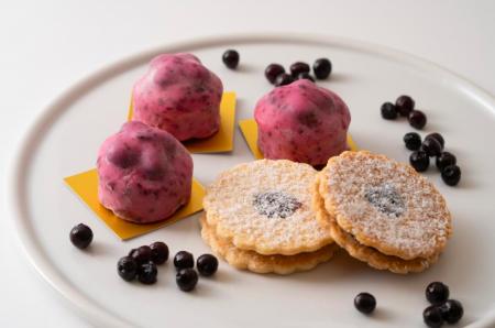 US ハイブッシュブルーベリー協会×cotta のコラボ企画