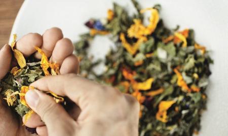 オーガニックハーブブランド〈ゾネントア〉より、“It’ オーガニックハーブブランド〈ゾネントア〉より、“It’