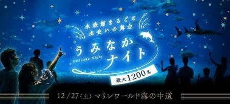 夜の水族館で最大1,200名が出会う「水族館まるごと出