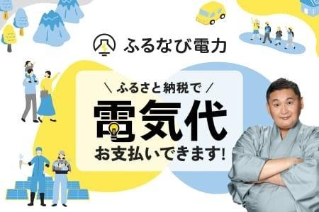 ふるなび電力、ふるさと納税で電気料金を支払える家庭 ふるなび電力、ふるさと納税で電気料金を支払える家庭