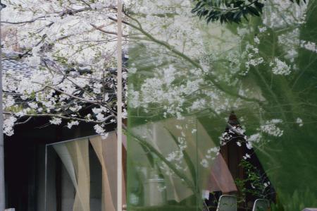 12月8日(月)開催 Miele × nadoya 「FIRST PLACE」p 12月8日(月)開催 Miele × nadoya 「FIRST PLACE」p