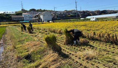 【パーソルエクセルアソシエイツ株式会社】米不足の今