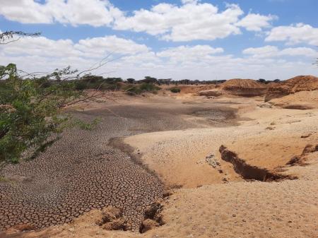 FAO報告書：17億人が土地の劣化による収量減少を経験