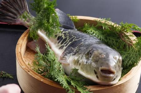 京都で味わうふぐ料理 心も体も温まる割烹たんごでぷ