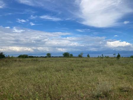 フィリピン ジェネラルサントス市においての最先端農