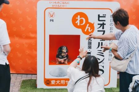 「わんビオフェルミンS」をジャパンわんこフェスutf-8