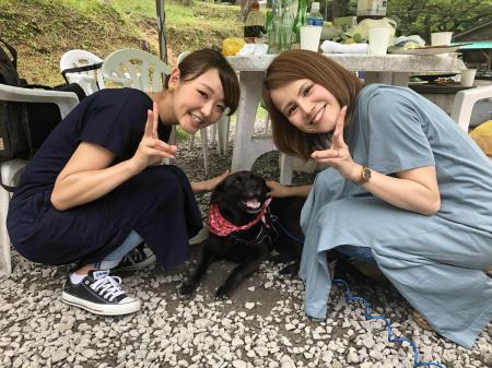 ペットロスが増加し、心のケアやペット供養の需utf-8