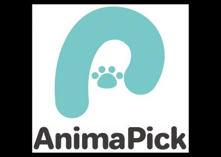 企業の広告掲載が保護犬猫の支援に！動物保護活動を支