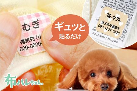 新感覚のペット迷子札「わんにゃん迷子シール」愛犬や