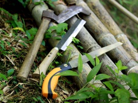 【131年の伝統】虎竹の伐採が今年も始まりました