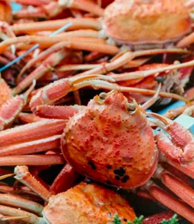 「輪島かにまつり」が能登半島地震を乗り越え4年ぶり