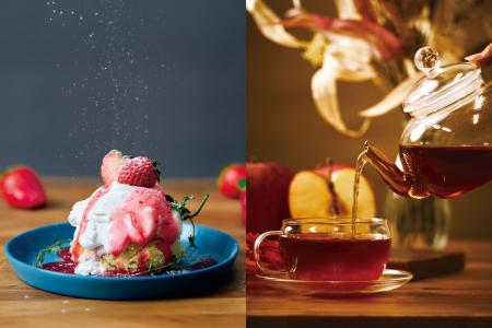 新定番スイーツ！“ふわしゅわ”新食感の『とろける生シ