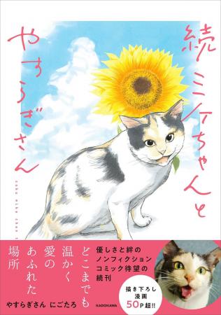 Xフォロワー6万人の看板猫！　生まれつき3本脚のミケ