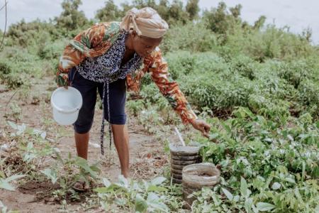 BSIグループジャパン（英国規格協会）、『レインutf-8