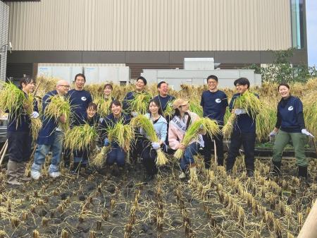 東京・銀座屋上の田んぼ「白鶴銀座天空農園」で自社開