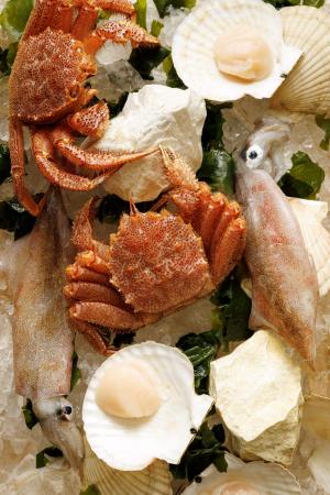 日本のテロワールを東京で感じる ザ・キタノホテル東