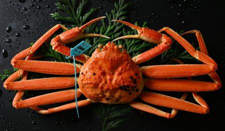 “冬の味覚の王様”11月6日解禁　休暇村能登千里浜では