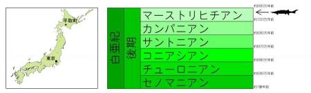 北海道で産出した化石が、東アジア初の発見となutf-8 北海道で産出した化石が、東アジア初の発見となutf-8