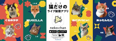 「猫だけのライブ配信アプリ「nekochan」イベントラン 「猫だけのライブ配信アプリ「nekochan」イベントラン
