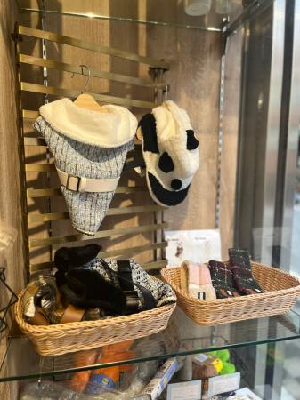 Pets Tokyo飯田橋店に大人気ペット服の新商品が入荷！