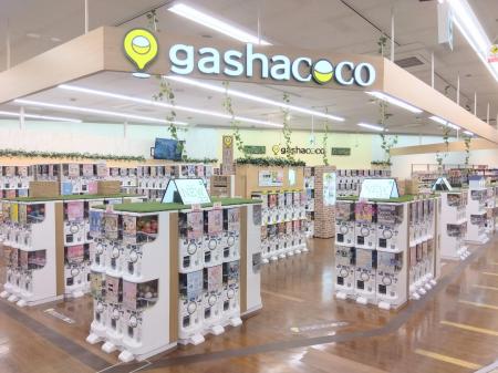 カプセルトイ専門店『gashacoco（ガシャココ）』のフ
