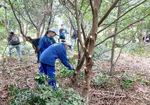 「綾町イオンの森」育樹を実施