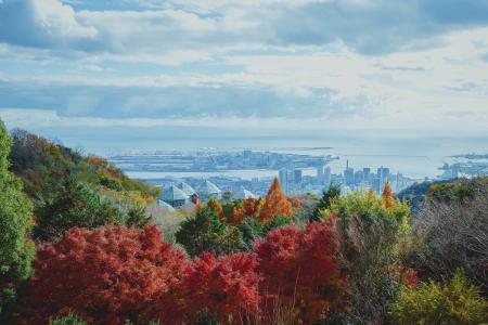 神戸の紅葉の名所「布引の紅葉」が見ごろです。秋色に