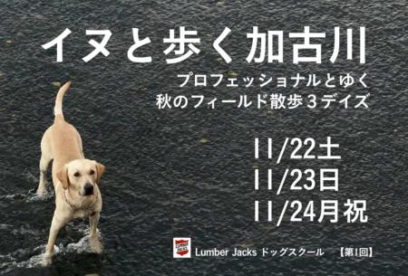 イヌと歩く加古川 イヌと歩く加古川