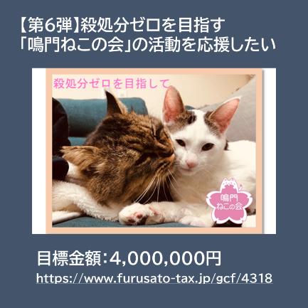 【徳島県　鳴門市役所】ガバメントクラウドファンディ