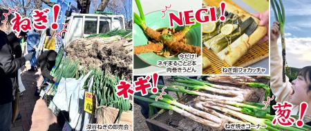 <道の駅おがわまち>11月22日~24日・29日・30utf-8 <道の駅おがわまち>11月22日~24日・29日・30utf-8