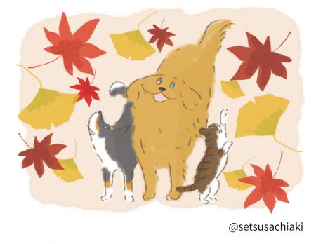 【日本動物高度医療センター】~救える命を少しでも増 【日本動物高度医療センター】~救える命を少しでも増