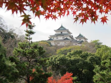 名勝・西之丸庭園を歩く紅葉と光に包まれる秋のutf-8 名勝・西之丸庭園を歩く紅葉と光に包まれる秋のutf-8