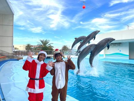 【南知多ビーチランド&南知多おもちゃ王国】キラキラ 【南知多ビーチランド&南知多おもちゃ王国】キラキラ