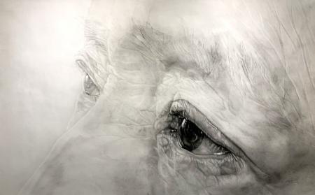 木下晋氏作品展・講演会 木下晋氏作品展・講演会