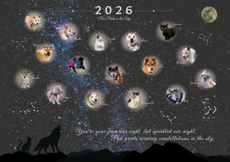 認定NPO法人CAPIN、2026年チャリティーカレンダー発売