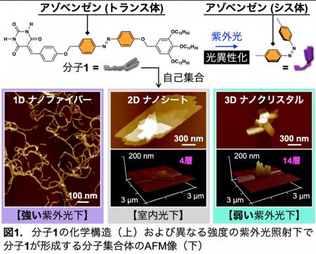 光の強さでナノ材料の形を自在に制御～次世代の機能性