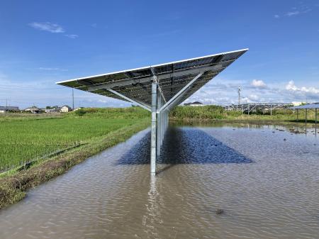 ソーラーシェアリングのスマートブルー、ヤンマーホー