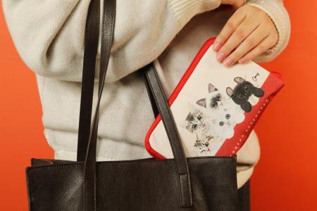 【ねこねこ福袋2025】『ね！こねこコンパクトエコバッ