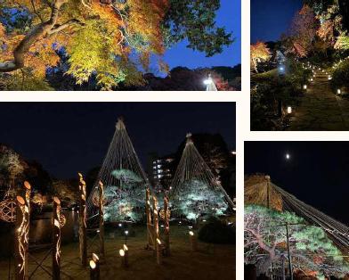熊本ゆかりの地で幻想的な紅葉やイベントを期間限定で