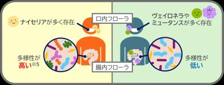 ライオンとサイキンソー、口腔・腸内細菌叢の共同研究