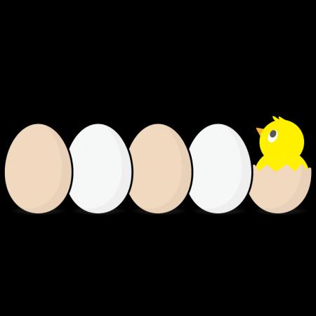 訪日外国人観光客が選ぶ『最も美味しい日本のTAMAGO料